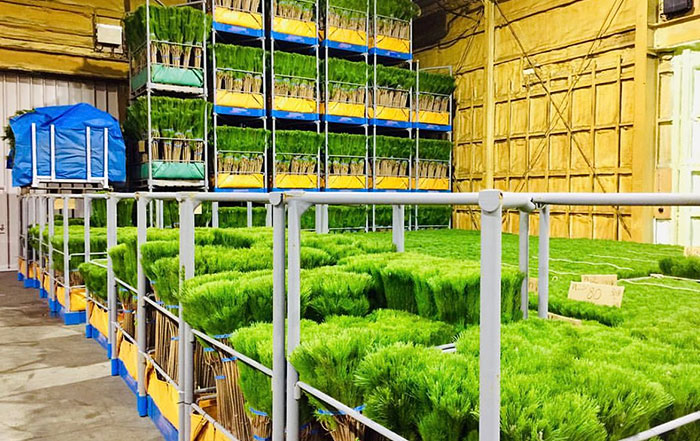 出荷前　冷蔵庫内